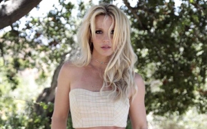 Britney Spears Fans Stage Rally to Free Singer From Allegedly Being Held Against Her Will 