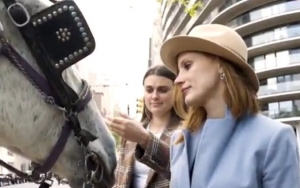 Jessica Chastain Lets Out Video of Her Getting Bitten on the Boob by Horse