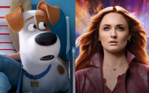 'The Secret Life of Pets 2' Outshines 'Dark Phoenix' in Opening Weekend at the Box Office 