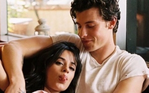 Shawn Mendes and Camila Cabello Spotted 'Locking Lips' During PDA-Packed Night Out