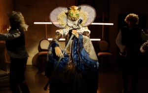 'The Masked Singer' Unveils Season 2 Costumes: Take a Look at Flamingo, Leopard and More