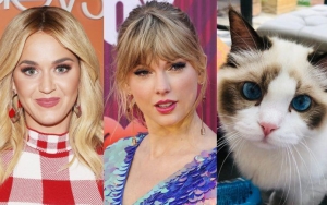Katy Perry Reveals Taylor Swift's Cat Plays Huge Role in Their Reconciliation