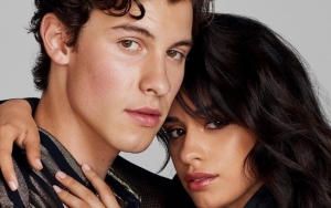 Shawn Mendes and Camila Cabello Steam Up Miami Beach With PDA