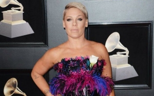 Pink Defends Controversial Gun Violence Poem: Art Is Meant to Cause Dialogue