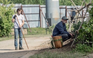 'The Walking Dead' Introduces Comic Character Dante in Season 10 Photos