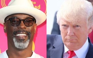 'Grey's Anatomy' Alum Isaiah Washington Blasted for 'Coming Out' as Donald Trump Supporter