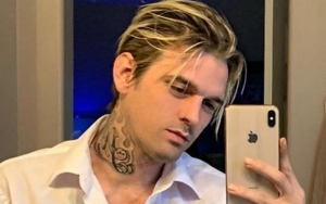 Aaron Carter Sells and Surrenders Gun Collection Amid Siblings Drama