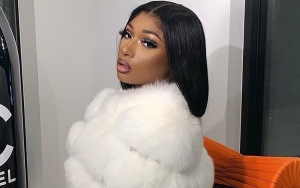 Megan Thee Stallion Fiercely Hits Back at Troll Telling Her to Get Nose Job