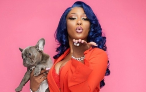 Megan Thee Stallion's Dog Disrespects Her by Peeing on Her BET Awards Dress