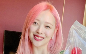 Late Korean Star Sulli's Funeral Location Leaks Despite Family's Wish for Private Ceremony