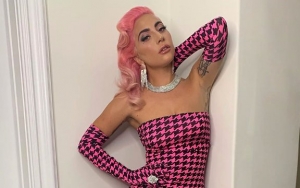 Lady GaGa's Fan Insists He's Not the Cause of Her Fall From Vegas Stage
