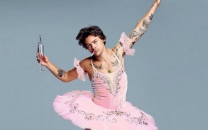 Harry Styles Denies Being 'Sexually Ambiguous' for Publicity Stunt