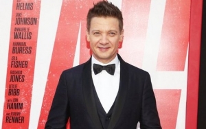 Jeremy Renner's Ex 'Very Disheartened' by His Request to Reduce Child Support Payment