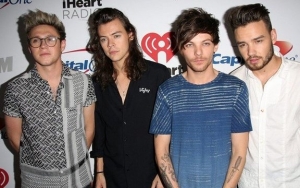Liam Payne Calls One Direction Breakup 'Stupid Decision' They Made When They're 'Tired'