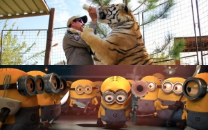 'Tiger King' Gets Dethroned by 'Despicable Me' as Netflix's Most-Watched Title
