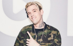 Aaron Carter Sued for Allegedly Stealing Artwork