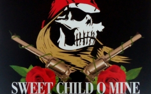 Guns N' Roses' 'Sweet Child O' Mine' Turned Into Children's Book