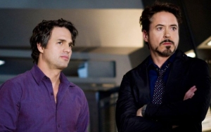 Mark Ruffalo Spills What Robert Downey Jr. Told Him That Convinced Him to Take on The Hulk