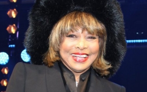 Tina Turner's Life and Career to Get TV Documentary Treatment