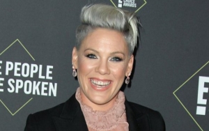 Pink Challenges Donald Trump's Supporters After Calling Against His Re-Election