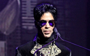 Prince's Estate Strikes Deal to Feature His Music Catalog on TikTok