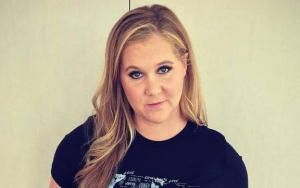 Amy Schumer Halts IVF Treatment as She Considers Surrogacy for Baby No. 2