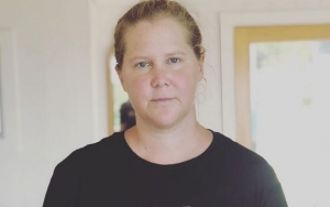 Amy Schumer Gives Up Efforts to Get Pregnant Following 'Tough' IVF 