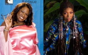 Comedian Thea Vidale Claims Brandy Has Bad Attitude