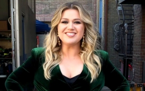 Kelly Clarkson Opens Up About Struggling After Her Divorce: My Life Is a Dumpster