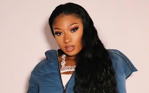 Megan Thee Stallion's Denial to Stealing Allegation Over Fashion Nova Designs Deemed Disrespectful 