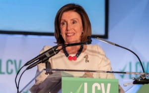 Pics: Nancy Pelosi's House Vandalized on New Year's Day With Pig's Head and Fake Blood