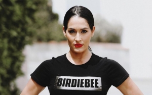 Nikki Bella Hires Life Coach to Avoid Having 'Meltdowns'
