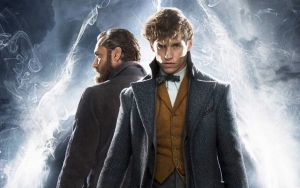 'Fantastic Beasts 3' Shuts Down Production After Crew Member Tests Positive for Covid-19