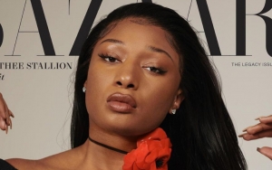 Internet Finds Megan Thee Stallion's Self-Edited Magazine Pictures 'Bland'