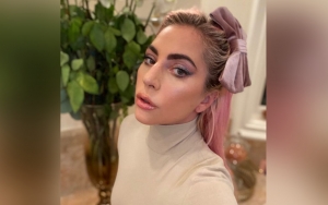 Lady GaGa's Pets Stolen After Dog Walker Was Shot in the Chest
