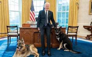 Joe Biden's Dogs Not Kicked Out of White House Due to Biting Incident