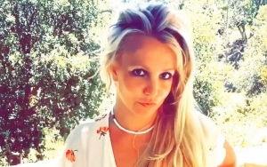 New Britney Spears Documentary In the Works With Award-Winning Journalist 