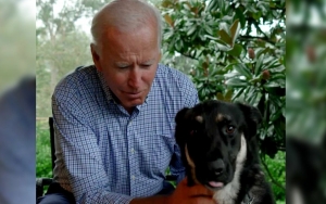 President Biden's Dog Major Still Needs Adjustment After Involved in Second Biting Incident
