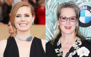 Amy Adams Reveals How Meryl Streep Helped Her Calm Down on Movie Set