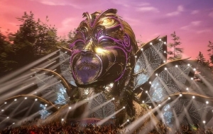 Tomorrowland Festival Bosses Devastated by Government's Decision to Ban 2021 Event