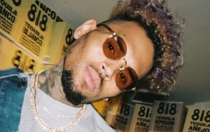 Chris Brown Investigated for Battery After Allegedly Smacking a Woman