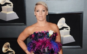 Pink Opens Up on Her 'Three Different Lives' Following Covid-19 Lockdown