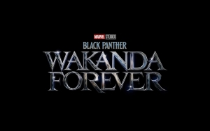 'Black Panther: Wakanda Forever' Has 'Five Incarnations' of Script With More to Come 