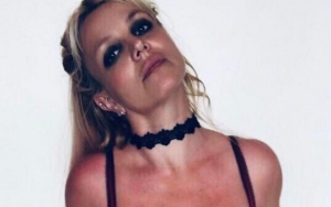 Britney Spears Accused of Battery Following Alleged Dog Drama