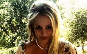 Britney Called Police to Report Theft From Her Home Before Battery Allegations Came Out