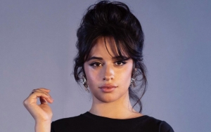Camila Cabello Claims COVID Lockdown Allows Her to 'Pause'