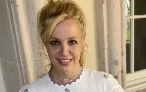 Britney Spears' Bedroom Surveillance Shocks New York Times Documentary Director 