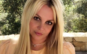 Britney Spears Gets Candid About Her Family 'Hurting' Her in an Instagram Rant