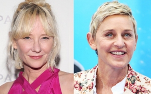 Anne Heche Claims She's 'Blacklisted' by Hollywood Following Ellen DeGeneres Romance