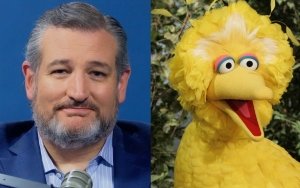Ted Cruz Slammed Online After Labeling Big Bird's Vaccination 'Government Propaganda'